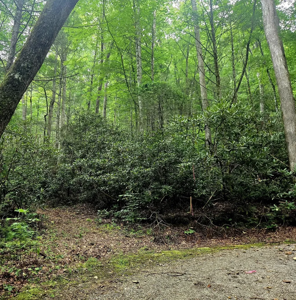 0 Holder Cemetery Road Tellico Plains TN 37385