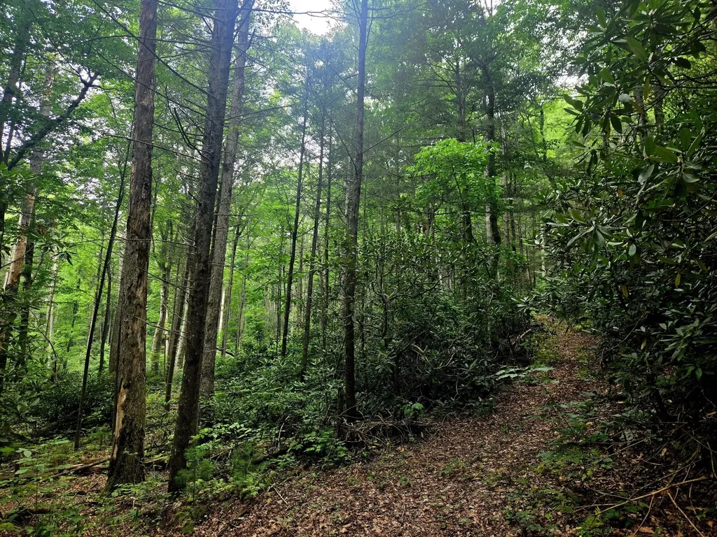 0 Holder Cemetery Road Tellico Plains TN 37385