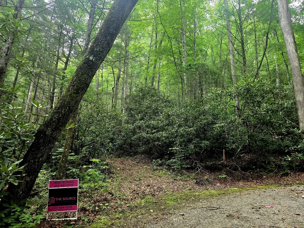 0 Holder Cemetery Road Tellico Plains TN 37385