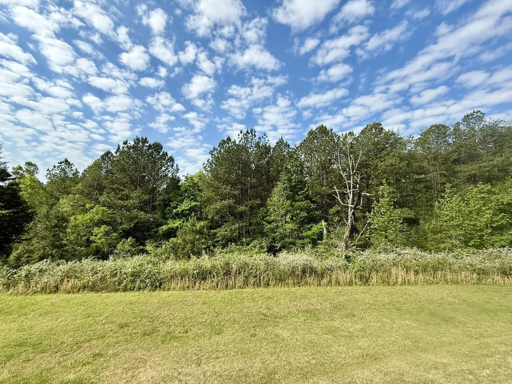 732 County Road 754 Riceville TN 37370