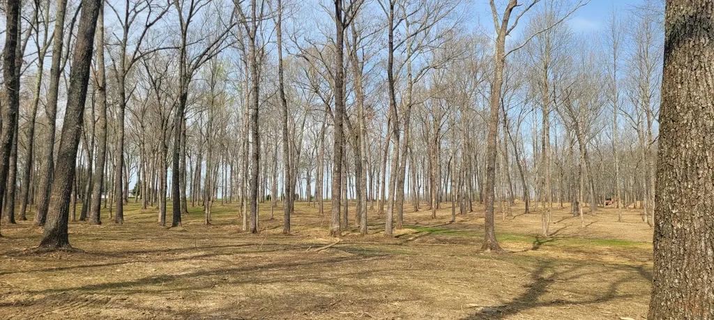 6 Goforth Road Morrison TN 37357