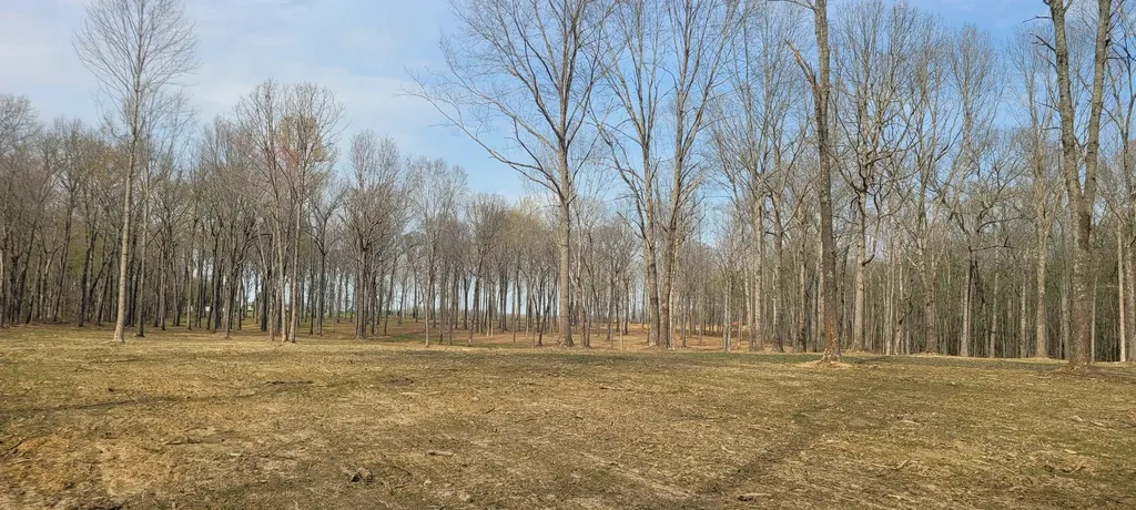 6 Goforth Road Morrison TN 37357