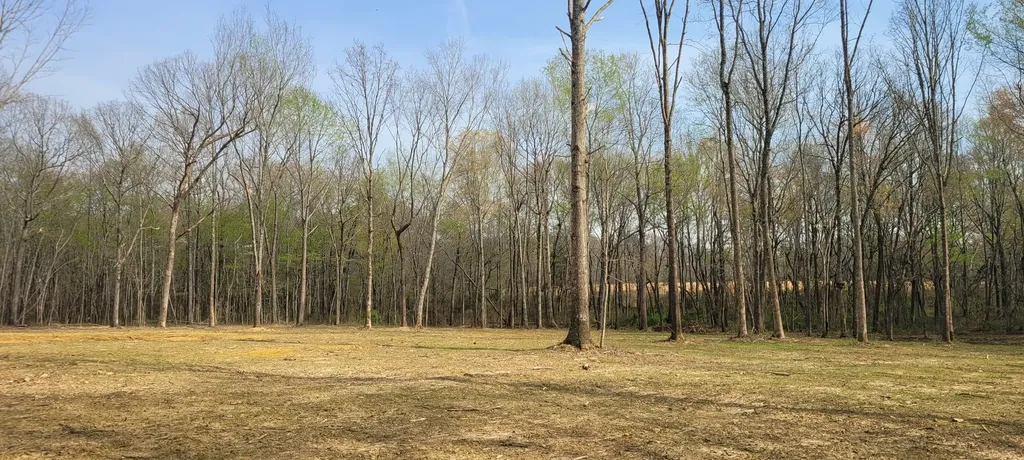 6 Goforth Road Morrison TN 37357