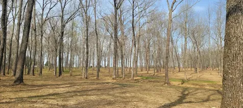 6 Goforth Road Morrison TN 37357