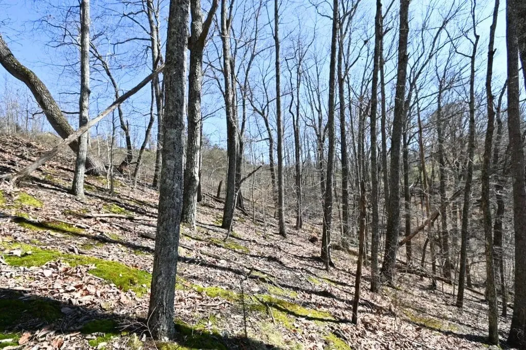0 Davidson Road Smithville TN 37166