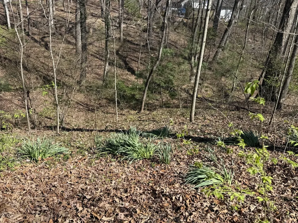 762 Spring Valley Road Cookeville TN 38501