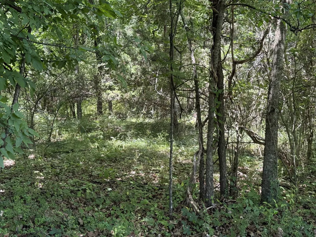 873 Walnut Grove Road Christiana TN 37037