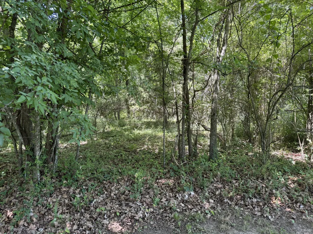 873 Walnut Grove Road Christiana TN 37037