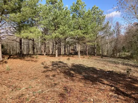 0 Highway 20 Summertown TN 38483