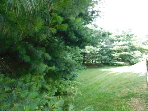 1182 Long Hollow Pike Gallatin TN 37066