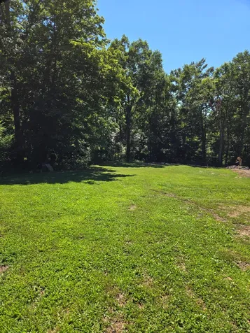 8704 Richards Lane Lyles TN 37098