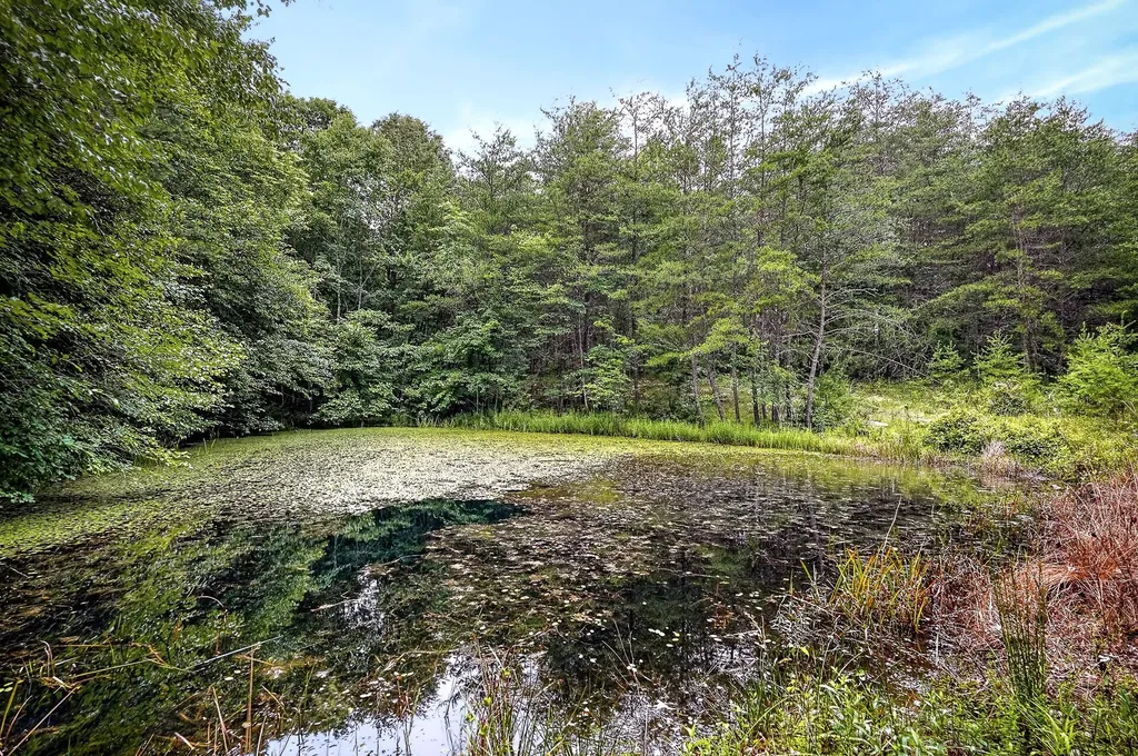 1400 Orlie Young Road Crab Orchard TN 37723