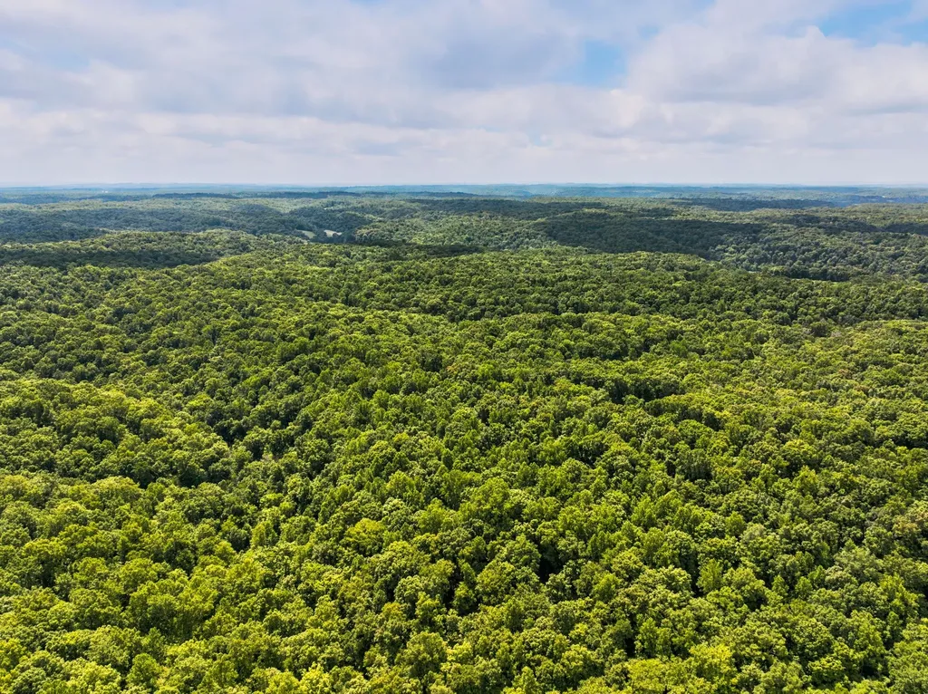 2 Greenbrier Road Franklin TN 37064