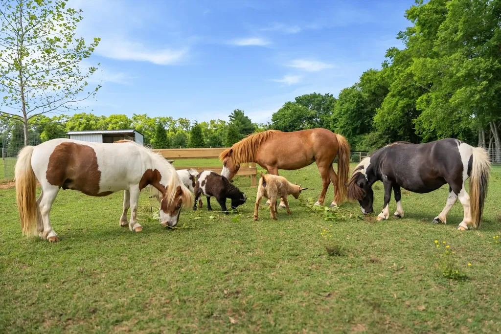 2620 Goose Creek By Pass Franklin TN 37064