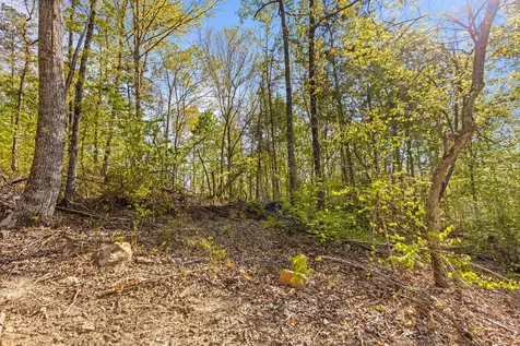 0 Valley View Highway Whitwell TN 37397