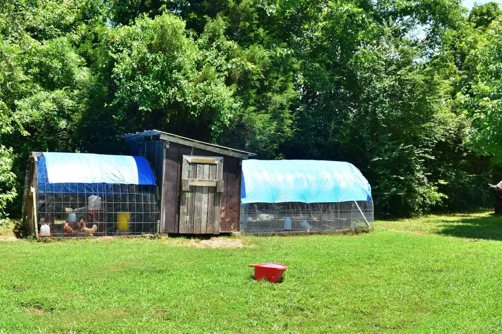 5858 Wolf Creek Road Spring City TN 37381