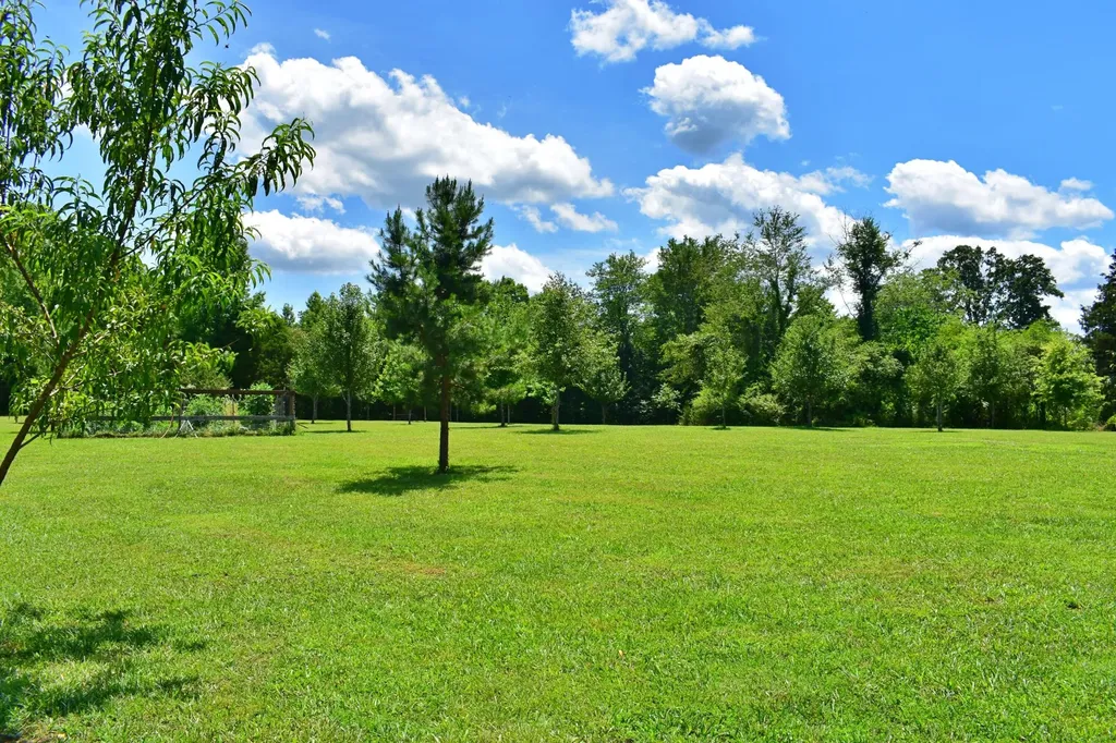 5858 Wolf Creek Road Spring City TN 37381