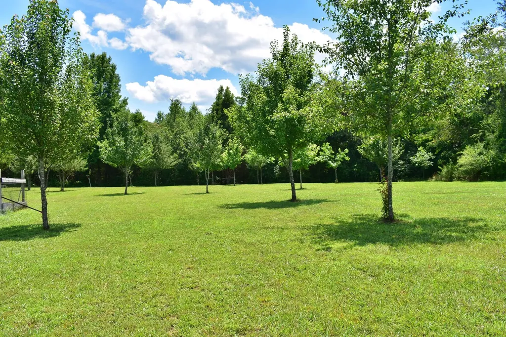 5858 Wolf Creek Road Spring City TN 37381