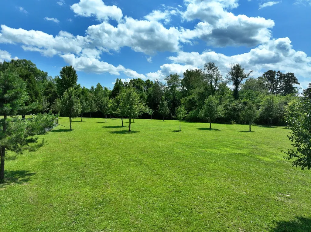 5858 Wolf Creek Road Spring City TN 37381