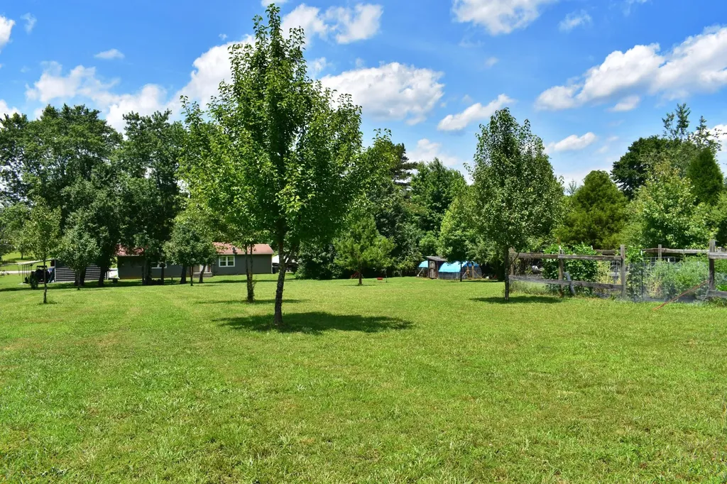 5858 Wolf Creek Road Spring City TN 37381