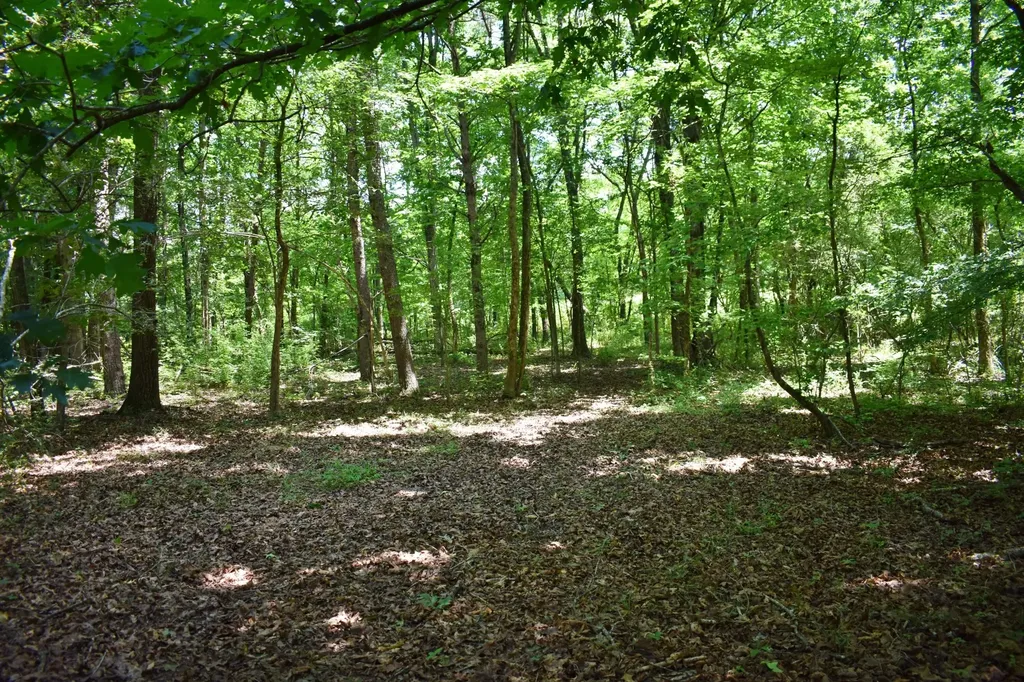 5858 Wolf Creek Road Spring City TN 37381