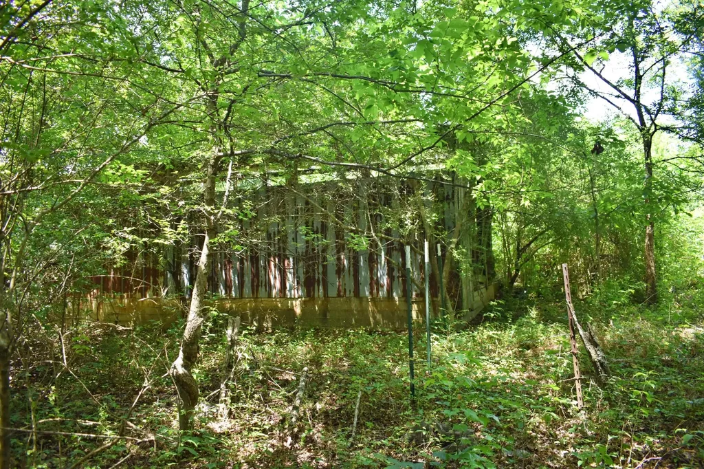 5858 Wolf Creek Road Spring City TN 37381