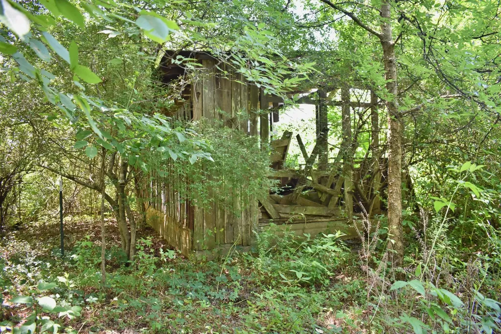 5858 Wolf Creek Road Spring City TN 37381