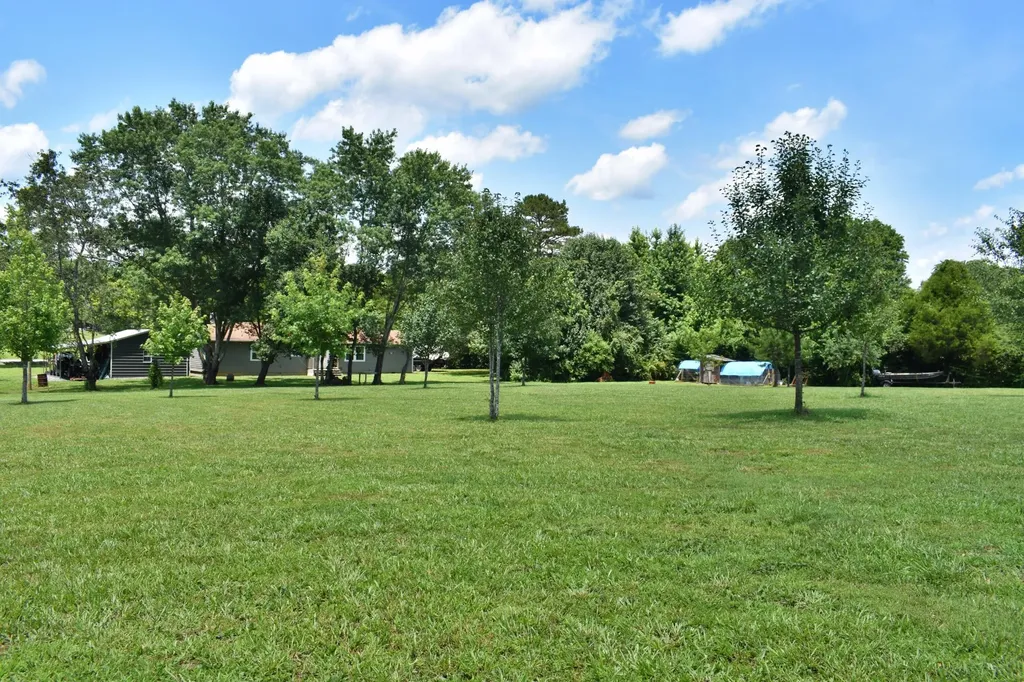 5858 Wolf Creek Road Spring City TN 37381