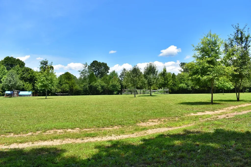 5858 Wolf Creek Road Spring City TN 37381