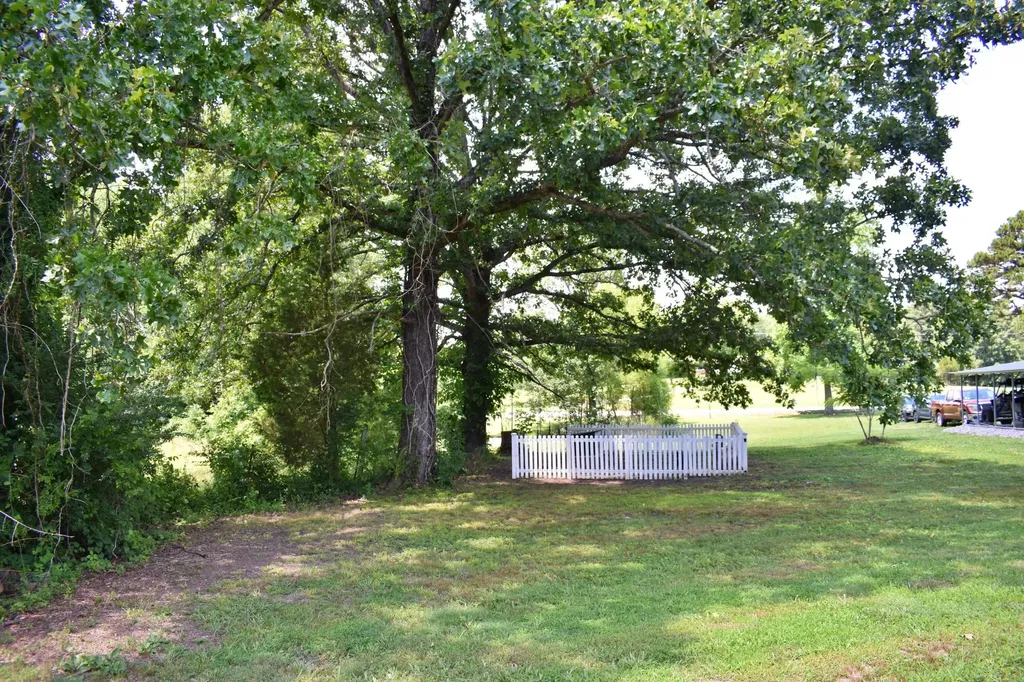 5858 Wolf Creek Road Spring City TN 37381