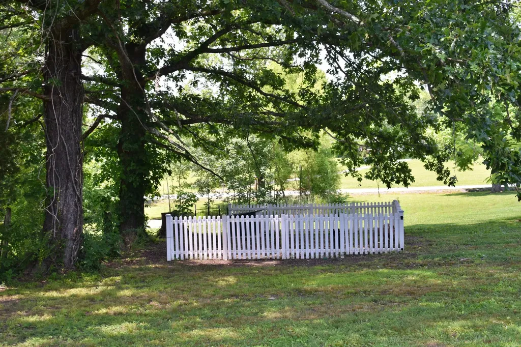 5858 Wolf Creek Road Spring City TN 37381