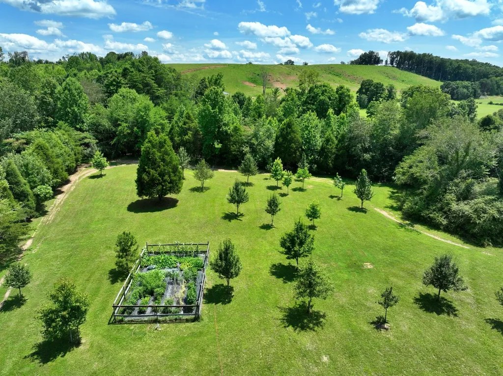 5858 Wolf Creek Road Spring City TN 37381