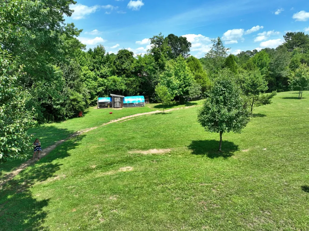 5858 Wolf Creek Road Spring City TN 37381