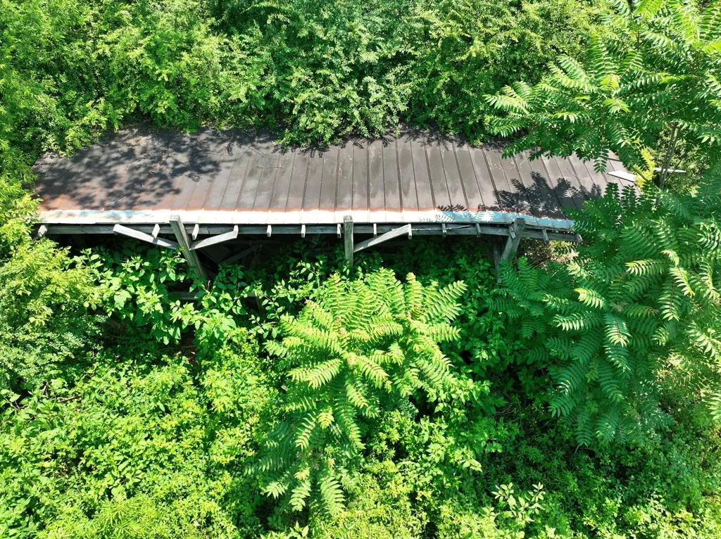 5858 Wolf Creek Road Spring City TN 37381