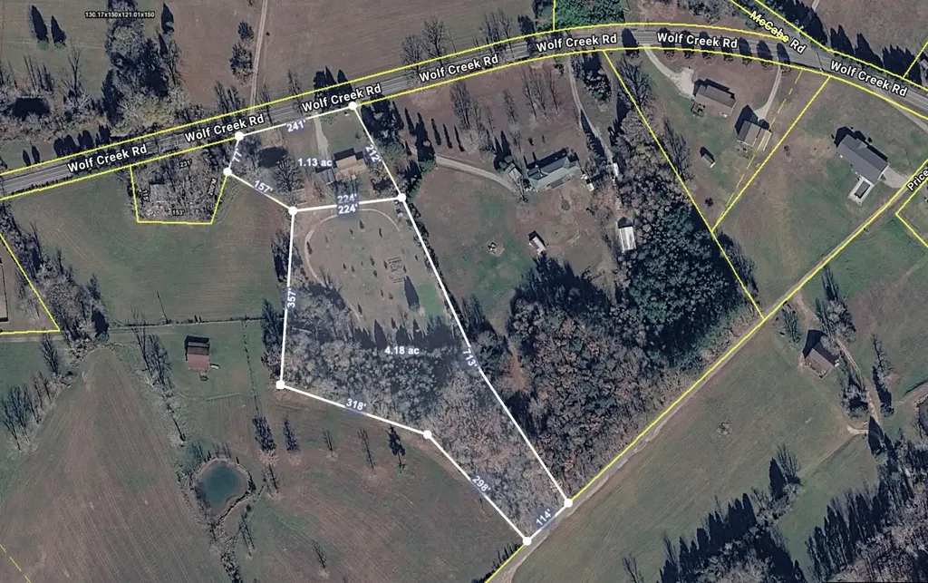 5858 Wolf Creek Road Spring City TN 37381