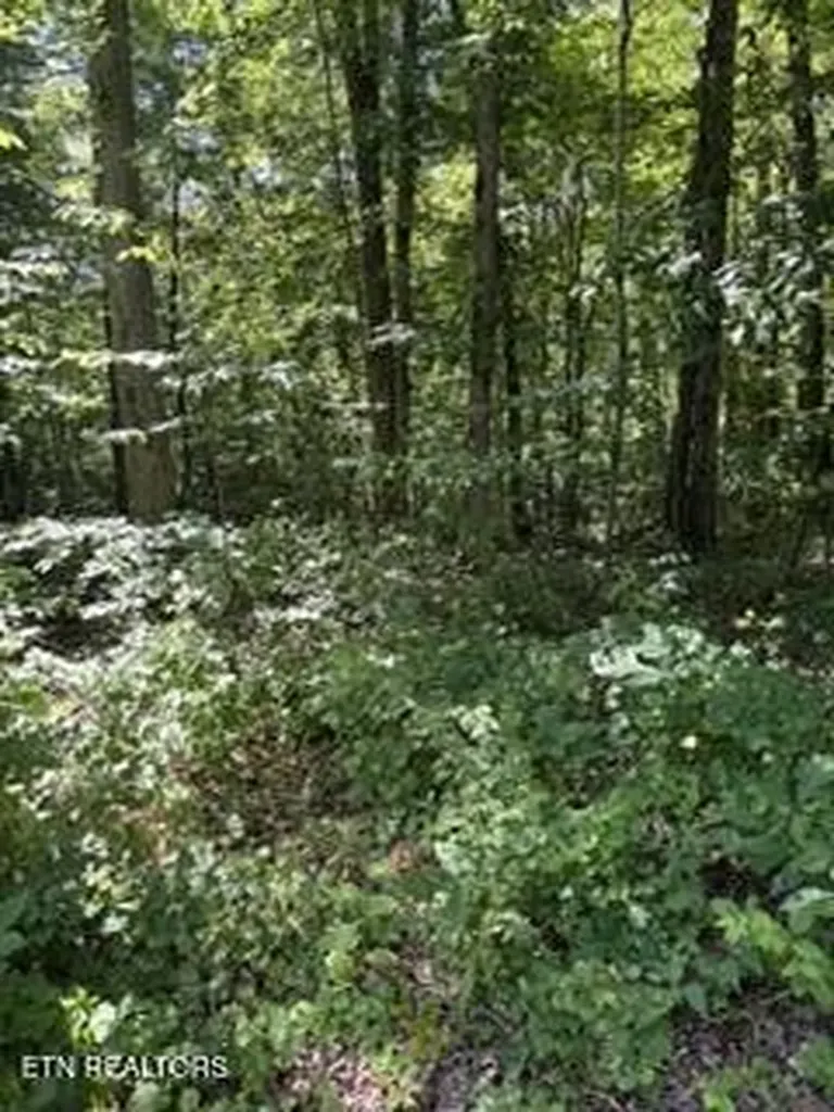 850 Lick Hollow Drive Grandview TN 37337