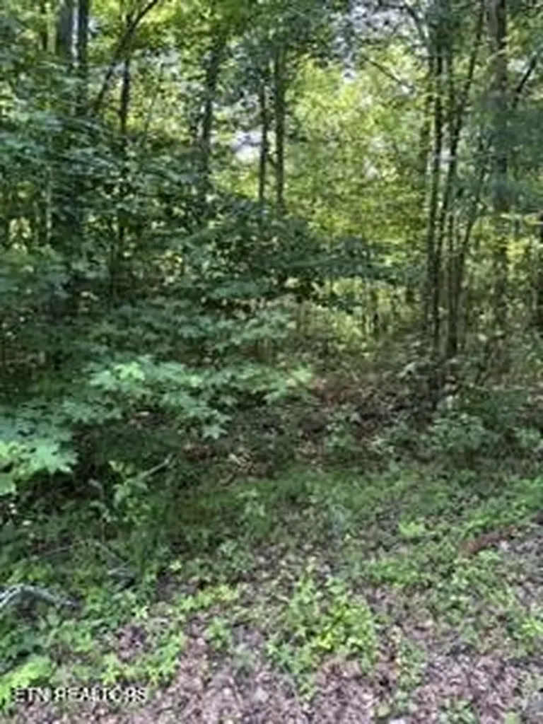 850 Lick Hollow Drive Grandview TN 37337