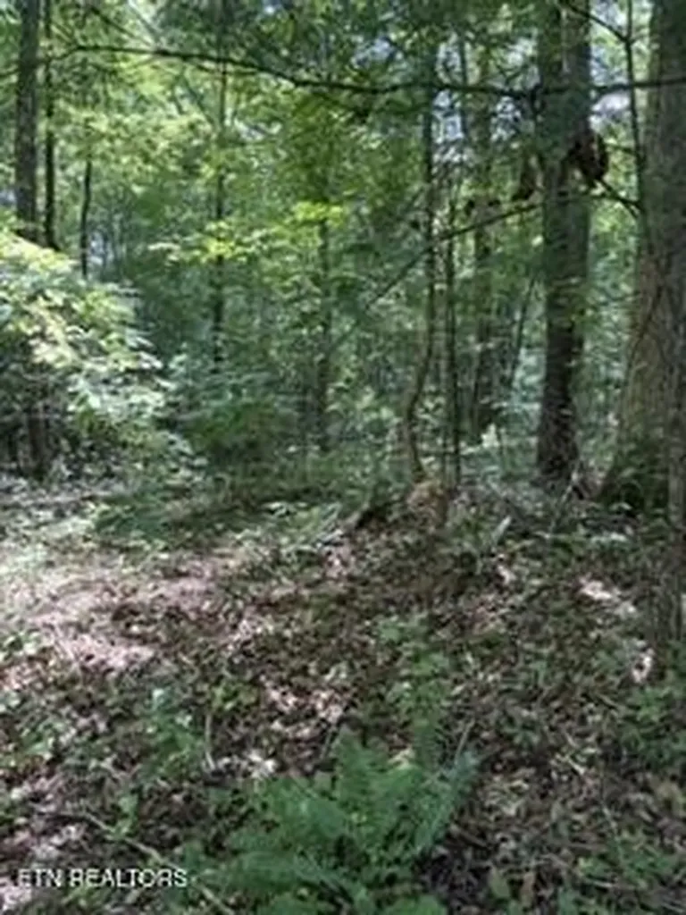 850 Lick Hollow Drive Grandview TN 37337