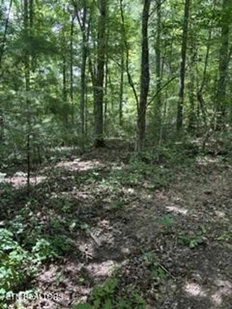 850 Lick Hollow Drive Grandview TN 37337