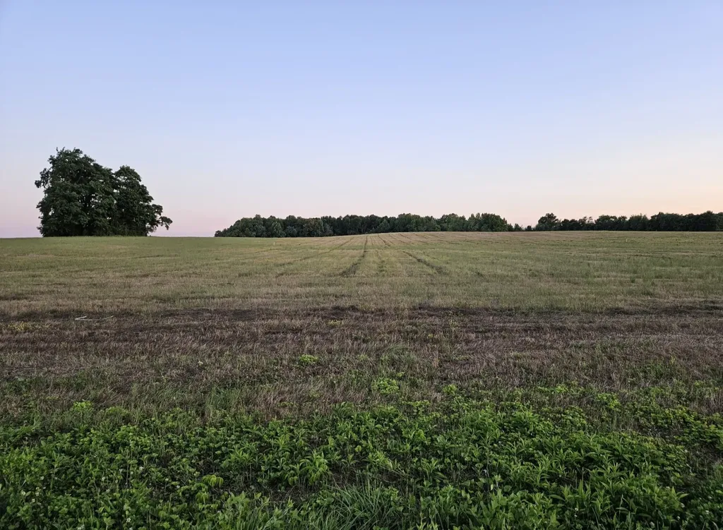 0 Blanton School Road Woodbury TN 37190