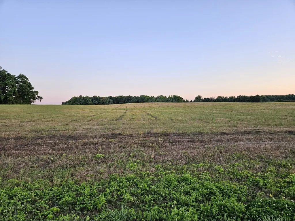 0 Blanton School Road Woodbury TN 37190