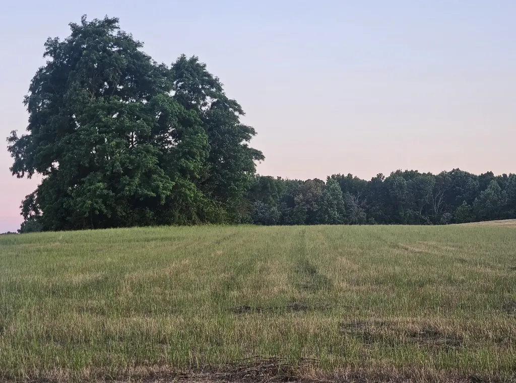 0 Blanton School Road Woodbury TN 37190