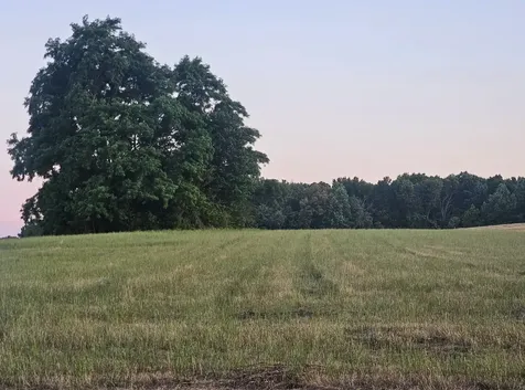 0 Blanton School Road Woodbury TN 37190