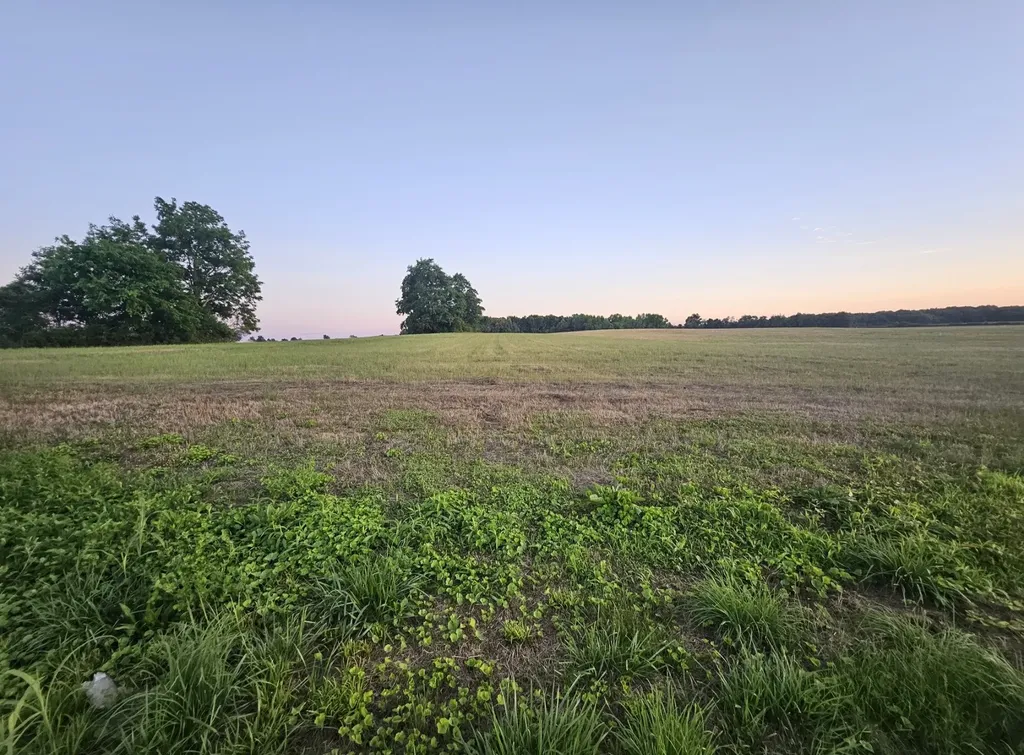 0 Blanton School Road Woodbury TN 37190