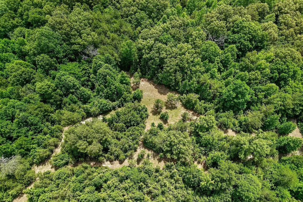 211 Arizona Lane Walling TN 38587