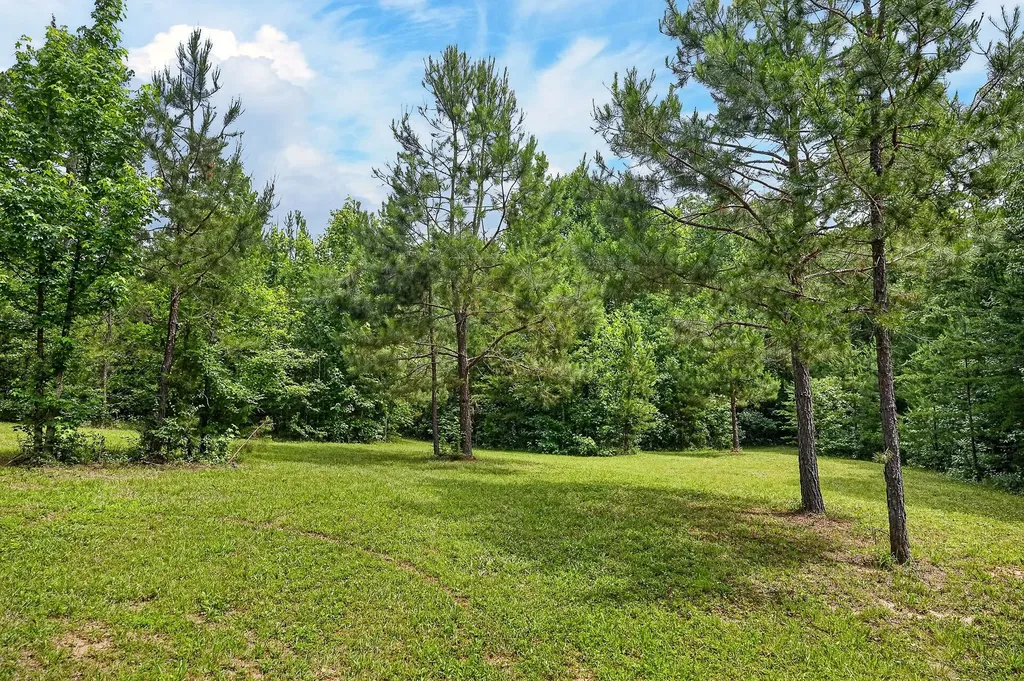 211 Arizona Lane Walling TN 38587