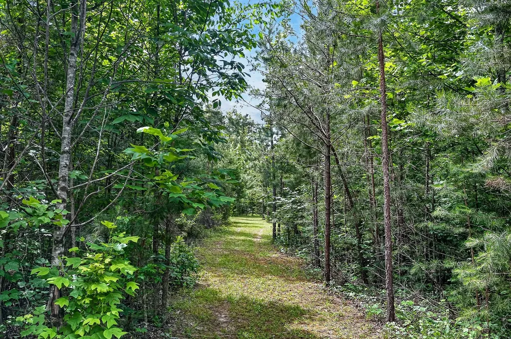 211 Arizona Lane Walling TN 38587