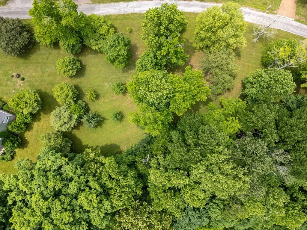 1 Lafever Ridge Road Silver Point TN 38582