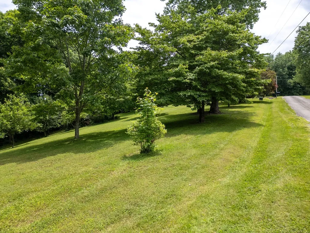 1 Lafever Ridge Road Silver Point TN 38582