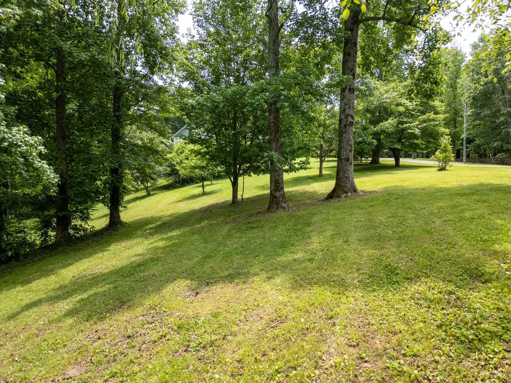 1 Lafever Ridge Road Silver Point TN 38582